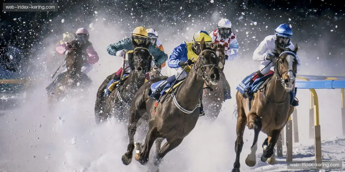 实时观赛反馈系统 增加品牌互动性